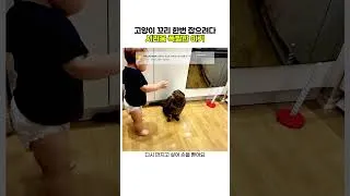 Thumbnail: 고양이 꼬리 한번 잡으려다 서러움 폭발한 아기