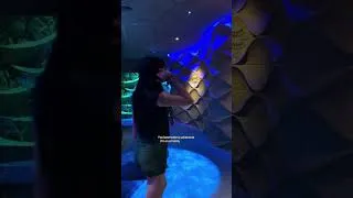 Thumbnail: Come with me to the coolest aquarium🪼🫧 #aquarium