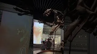 Thumbnail: Come with me to one of the largest natural museums in the world🌎 #museum #naturalhistory￼