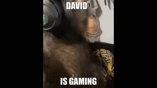 Thumbnail: david is gaming