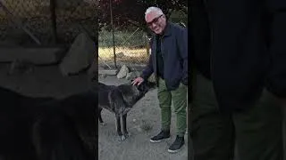 Thumbnail: Cesar Meets a Wolf