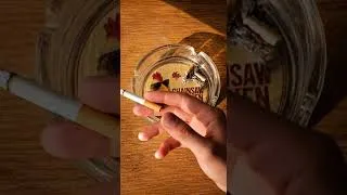 Thumbnail: remember ashtrays? #chainsawchicken #satire #memes #smoking #cigarette_lover