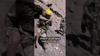 Thumbnail: Why do some people run towards danger