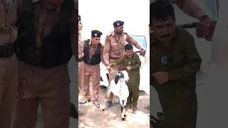 Thumbnail: police Aur chor #chaltv #punjabicomedy #comedyvideos