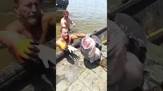 Thumbnail: Epic day catching Giant Catfish with our hands!