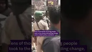 Thumbnail: India education minister resigns amid ‘cockroach’ protests