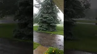 Thumbnail: Rainfall on a Summer Day