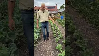 Thumbnail: Still Dry! Watering Update