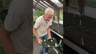 Thumbnail: Sowing possibilities in late August