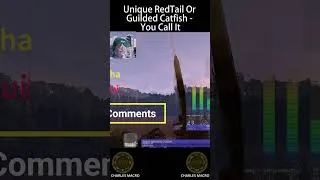 Thumbnail: Did I Catch a UNI Redtail or Guilded Catfish | Marron River | Fishing Planet #shorts #short