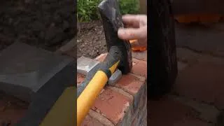 Thumbnail: How I Disappeared a Dead Tree in My Garden  #diy #garden #treeremoval