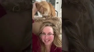 Thumbnail: RECOVERY FROM THE RECLINER IS NEVER LONELY