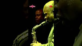 Thumbnail: When Maceo Parker plays Prince, it's pure funk 🔥