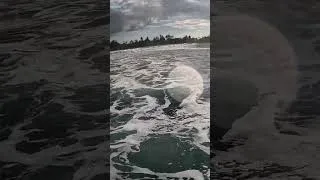 Thumbnail: My mind when I'm surfing 🏄‍♂️ #surfingislife #travel #surfmusicfest