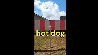 Thumbnail: i built a SUPER SONIC hotdog cannon