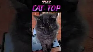 Thumbnail: The Cat-Top | Why I Don't Upload Many Videos | Cats!  🐈 🐆 My Work Lap-Top Turns Into A Flat-Top