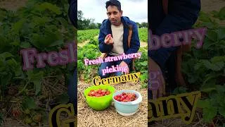 Thumbnail: #fresh strawberry picking #tamil #trending #travel #love #song #tamilnadu #germany #fresh #fruit