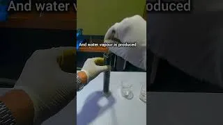 Thumbnail: Dehydration of Sugar by Sulphuric acid Music-Rush NCS #Chemistryshorts#chemistrylab #icseboard
