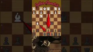 Thumbnail: SOLLER GAMBIT #shorts