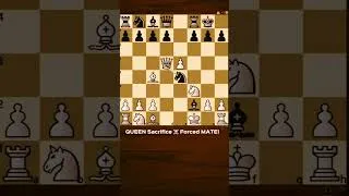 Thumbnail: QUEEN SACRIFICE #chess #lichesstitledarena #chessgame #helpmemakethismakesense