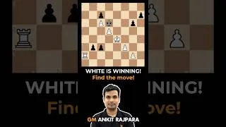 Thumbnail: He Resigned… While WINNING! #chess #chessgame #shorts