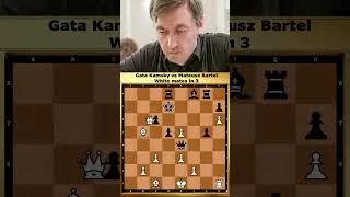 Thumbnail: MATE IN 3!! 🔥 KAMSKY STRIKES ♟️ #GataKamsky #ChessShorts #Checkmate