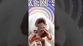 Thumbnail: Funny chicken dance #shorts #chicken #chickendance #chickendancesong