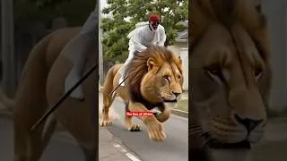 Thumbnail: Igwemba