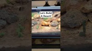 Thumbnail: I Simulated A Desert for 500 Days!
