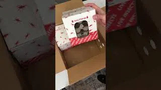 Thumbnail: Insects In The MAIL!?