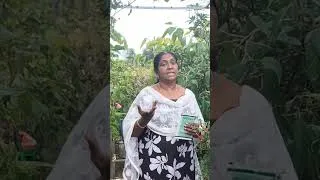 Thumbnail: Malli farming in terrace garden by chilli jasmine #gardening