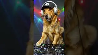 Thumbnail: The DJ Golden Retriever