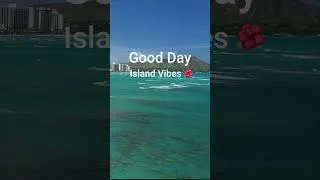 Thumbnail: 今日もいい1日🌺のんびりゆっくり癒される🌴 #chillwaveskstudio #music #作業用bgm