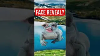 Thumbnail: should i face reveal?..