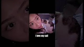 Thumbnail: I love my silly cute #cat ☺️💗Are you a pet lover too?  #catlife #cats