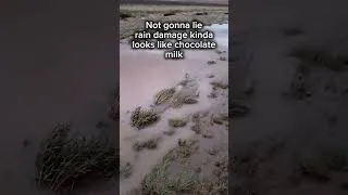 Thumbnail: Storm Damage is SUS...
