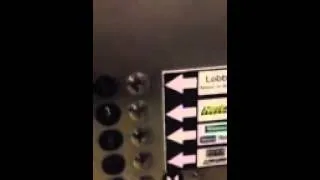 Thumbnail: Thyssenkrupp elevator at the Phonix AZ airport