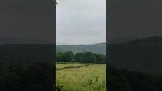 Thumbnail: Rainy morning in Ponca! #ozarks