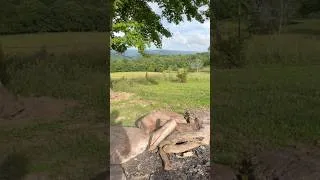 Thumbnail: Campfire with a view #ozarks #ponca