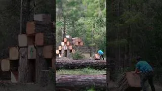 Thumbnail: Building Minecraft IRL