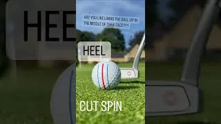 Thumbnail: HOLE MORE PUTTS!!!