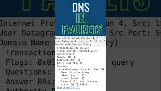Thumbnail: DNS in 60 Seconds (Captured Live)