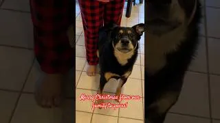 Thumbnail: Merry Christmas from our Family to Yours!