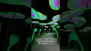 Thumbnail: Ever Seen Lanterns Like This Before?