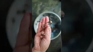 Thumbnail: Sterling silver polishing hack