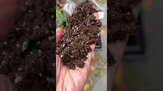 Thumbnail: Have you ever bought seed raising mix that looks like this? (Read description) #seedstarting
