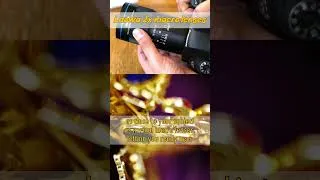 Thumbnail: Getting twice as close with 2x macro lenses