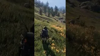 Thumbnail: Good Hunting