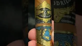 Thumbnail: Crocodiles are aging GREAT 🔥