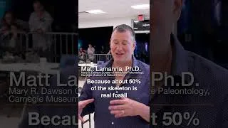Thumbnail: 3D Scanning a Rare Dinosaur Skeleton - Torvosaurus